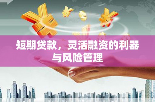 盐津短期贷款，灵活融资的利器与风险管理