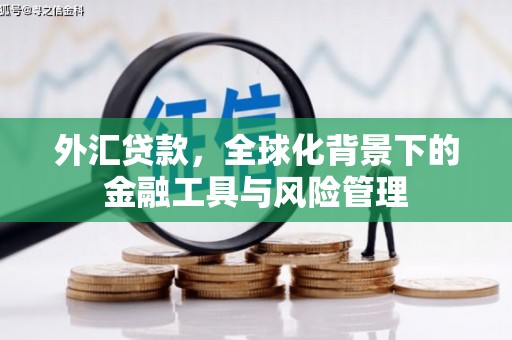 盐津外汇贷款，全球化背景下的金融工具与风险管理