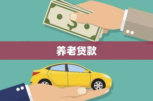 盐津养老贷款
